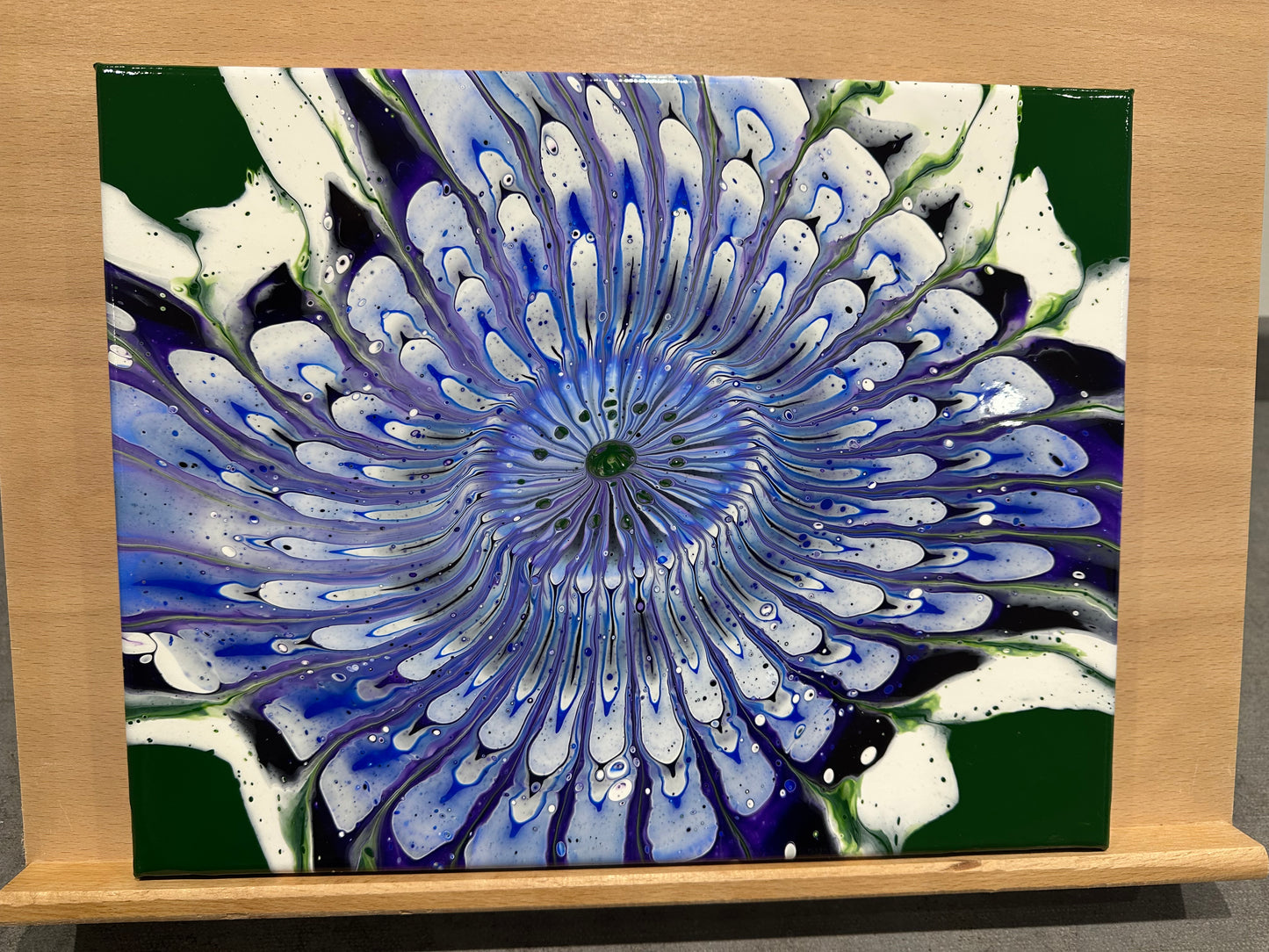 Purple Dahlia