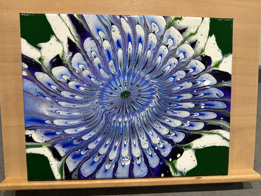 Purple Dahlia